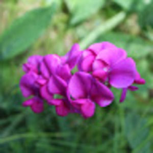 Meet your Posher, Becca lee